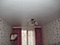 assets/cache/images/potolok/60c7462bed53fe1d7864877fdeba5cc0-1200x1200-890.gif